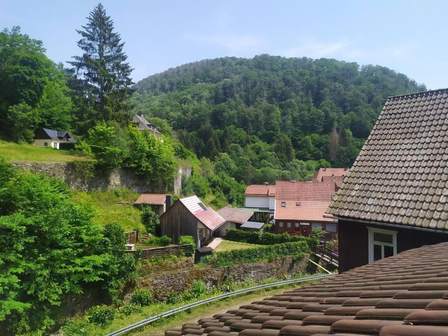 Haus Am Wald Zorge 16+ Gaeste Walkenried Dış mekan fotoğraf