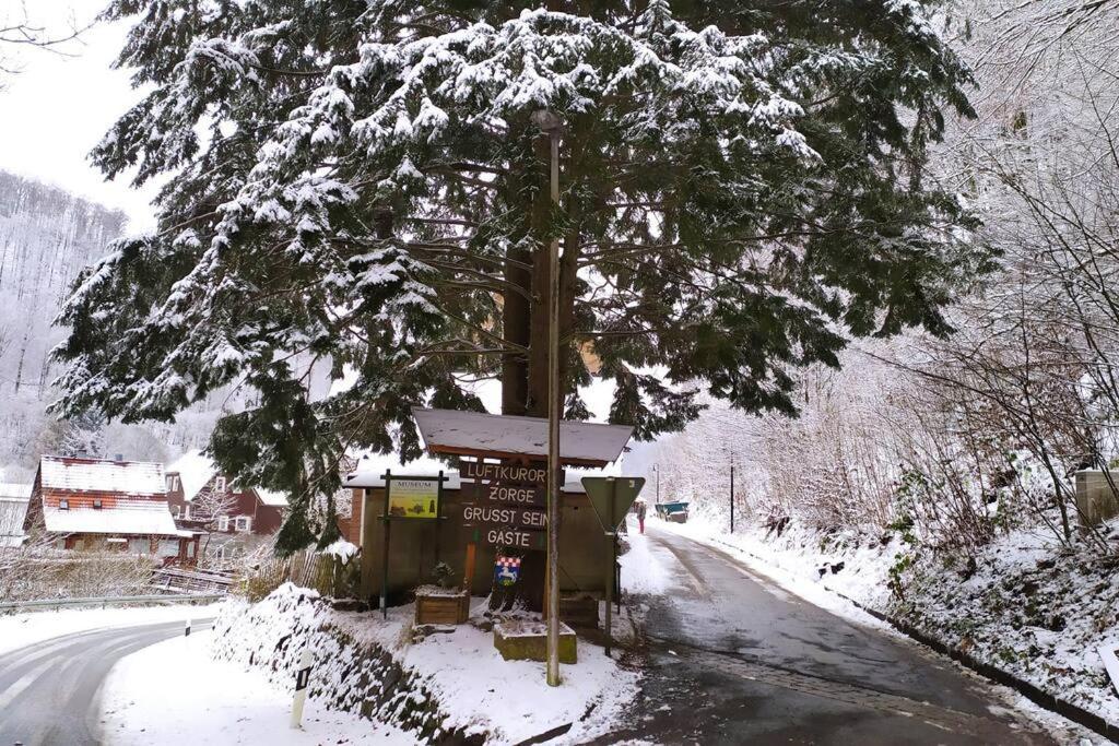 Haus Am Wald Zorge 16+ Gaeste Walkenried Dış mekan fotoğraf