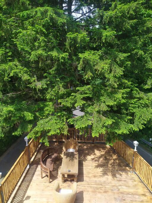 Haus Am Wald Zorge 16+ Gaeste Walkenried Dış mekan fotoğraf